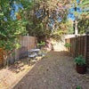 Photo 7: Garden