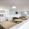 Photo 8: Study area