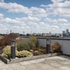 Photo 7: Roof terrace
