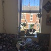 Photo 2: Room 1 - window + desk