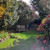 Photo 7: Garden