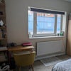 Photo 2: Bedroom