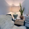 Photo 6: Shared living room