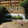 Photo 5: Garden
