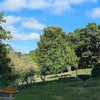 Photo 8: Acton Park
