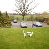 Photo 6: Communal Garden / Parking