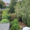 Photo 6: mature garden view