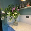 Photo 8: beautiful kitchen