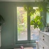 Photo 9: access to the garden through the kitchen