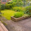 Photo 3: Garden