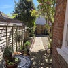 Photo 6: Garden