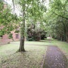 Photo 7: Communal Gardens
