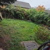 Photo 7: Garden
