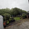 Photo 7: Garden