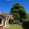 Photo 8: Garden is a relaxing soace 