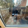 Photo 7: room D + patio