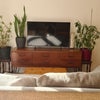 Photo 4: Sofa and TV