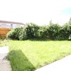 Photo 5: GARDEN