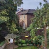 Photo 9: Garden