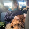 Photo 4: (wish it was our dog but it's not)