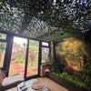 Photo 7: Garden Lounge