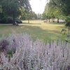 Photo 9: Roundwood Park 5 mins walks away