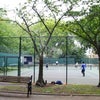 Photo 7: Tennis Courts 5 mins away