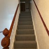 Photo 5: Newly recarpeted and freshly painted hallways and landing