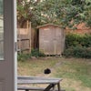 Photo 6: Garden