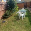 Photo 9: garden