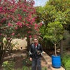 Shreesh\'s picture