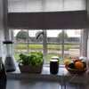 Photo 2: View from the kitchen sink
