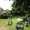 Photo 6: Garden