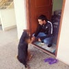 Gaurav\'s picture