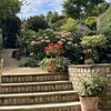 Photo 7: Garden