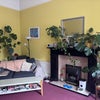 Photo 4: Living room
