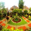 Photo 6: Back Garden