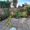 Photo 8: Courtyard garden