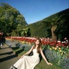 Wendy\'s picture