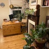 Photo 3: Dining area
