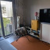 Photo 5: living room