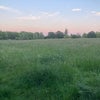 Photo 7: Hampstead Heath is right on the doorstep!