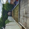 Photo 6: Garden