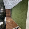 Photo 2: Garden 