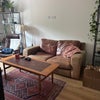 Photo 4: Living room