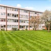 Photo 4: Communal Garden