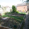 Photo 6: Garden