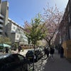 Photo 9: Marchmont street