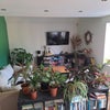 Photo 5: Living room