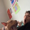 Rudi\'s picture